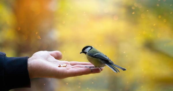 Веднъж един професор от физико математически факултет поискал да предаде на студентите си