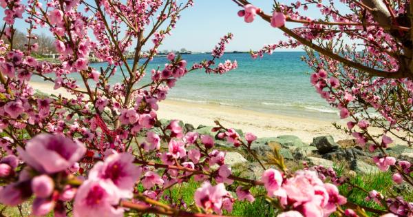 Април 2022 г – нищо по различно от предишните месеци –