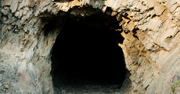 На 14 март екип от 15 доброволци – 8 мъже