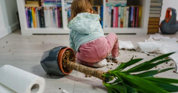 Проучванията на учените потвърждават че вторите деца са по склонни да