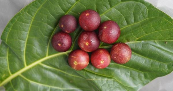 Чували ли сте че съществува плод който съдържа близо 30