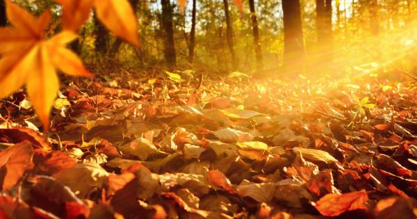 Ноември 2021 г продължава серията от по топли месеци като през