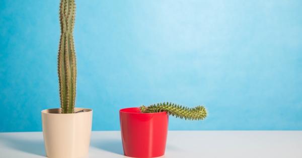 За проблемите с ерекцията или еректилната дисфункция има разнообразни причини