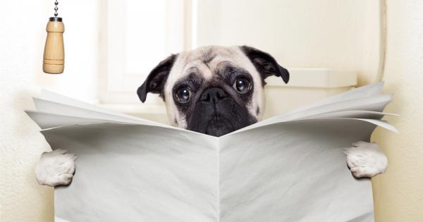 Ако искате да излъжете някого учените са открили идеалния начин