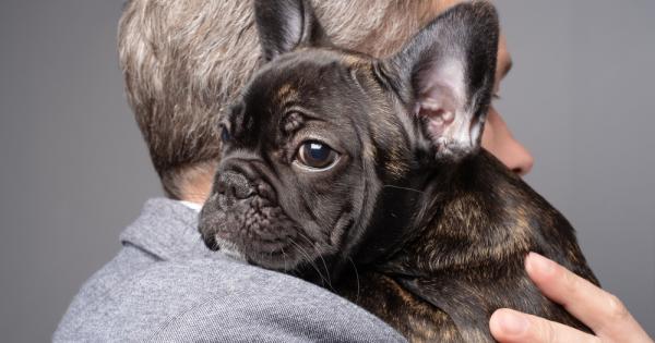 Не е новост че животните често са по хора от хората