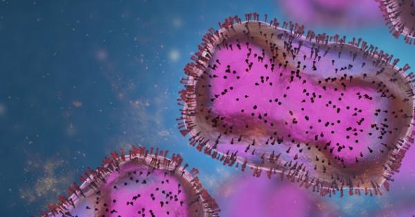 Изследователи от университета на Ню Йорк и Асуанския университет в