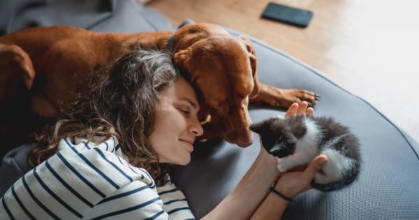 Питали ли сте се някога дали любовта ви към котките