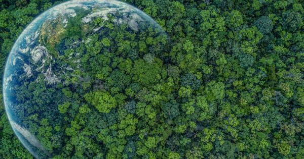 COP28 вероятно ще бъде най посещаваната конференция по измененията на климата