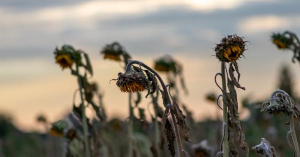 Европа се е затоплила над два пъти повече от останалите