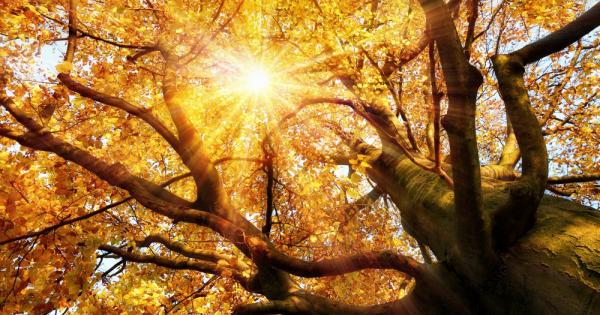 Септември 2020 г успя да надмине постижението на септември 2019