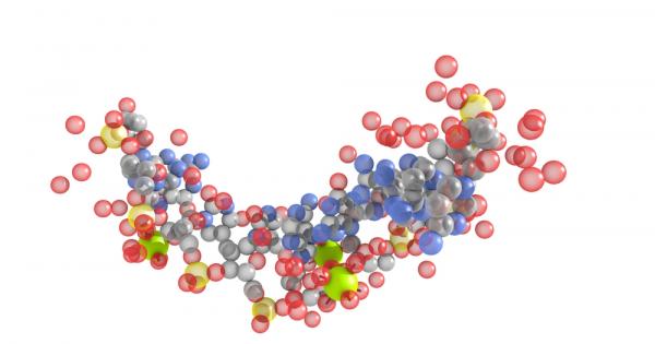 Някои обикновени животоспасяващи лекарства като инсулина са направени от протеини