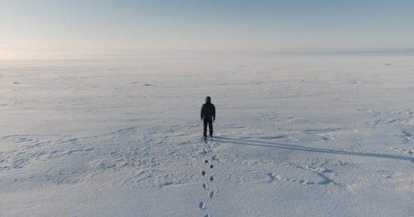 Арктика може да остане без лед през лятото още идното
