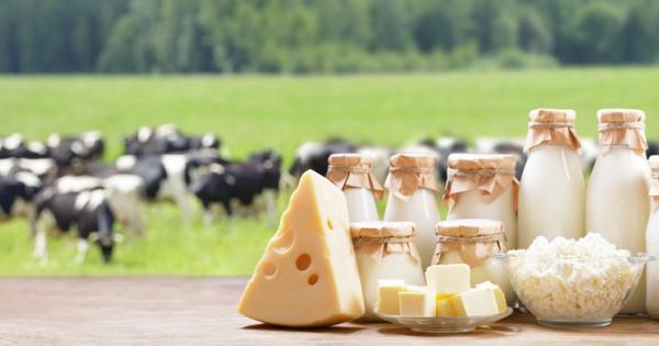 Какво е общото между средиземноморската индийската мексиканската и скандинавската кухня