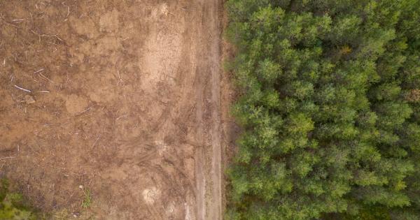 Мащабното начинание за ръчно картографиране на недокументирани маршрути разкрива зашеметяващия