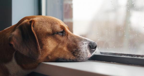 Често ли се чувствате тъжни Склонни ли сте да се