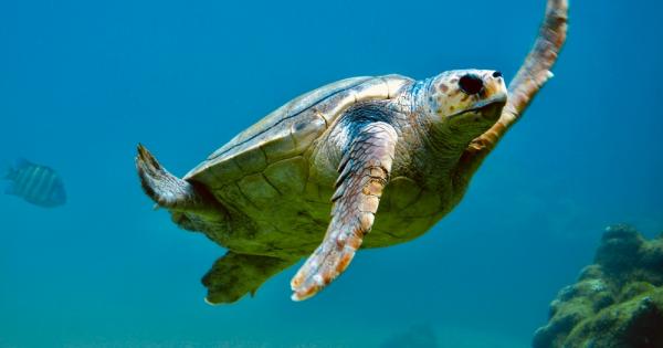 Следи от древна ДНК са открити във кости превърнали се