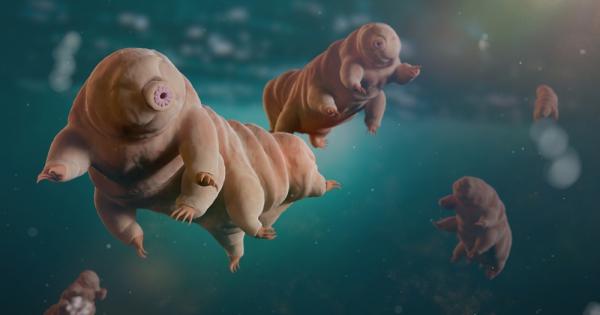 Малко по малко вълните и приливите разяждат скалите и ги