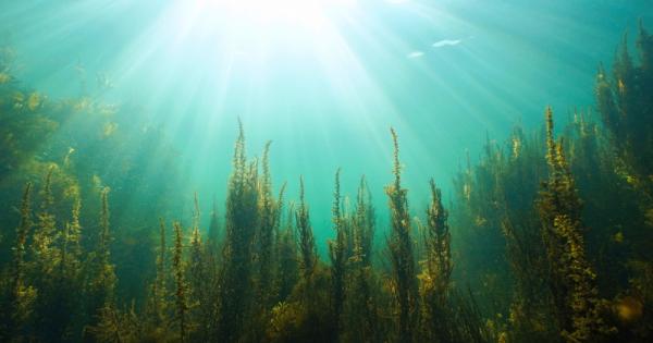 Ново научно изследване публикувано в разкрива как динамичните условия