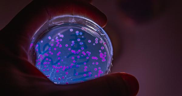 Според ново изследване едноклетъчен организъм без мозък или нервна система