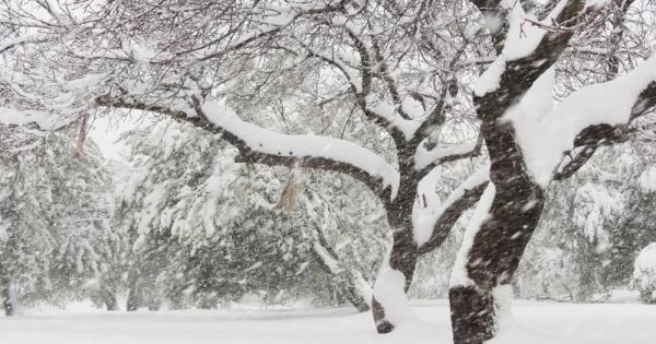 Климатът може да оказва влияние на сеизмичната активност твърди екип