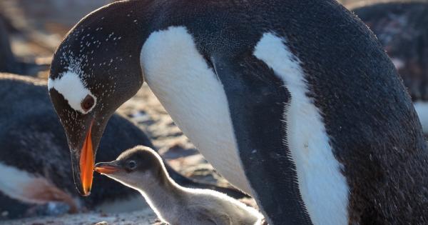 Предизвикателство за всички нови родители е да спят достатъчно и