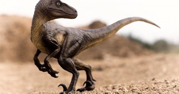 Съществува значителна разлика между това колко бързо остаряват бозайниците включително