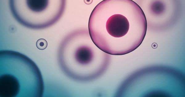 Кой ще бъде пионерът на човешките ембриоиди Няколко изследователски екипа