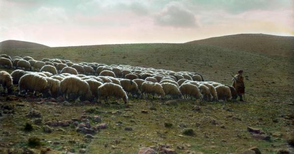 Дядо и внуче седели на земята близо до входа на