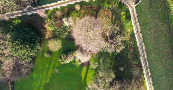 Въпреки грижливите усилия за опазване на околната среда изследователи откриват