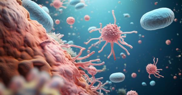 Български учени работят по проекти за изследване на антрактически дрожди