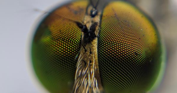 Учени от Република Корея са разработили високоскоростна камера вдъхновена от