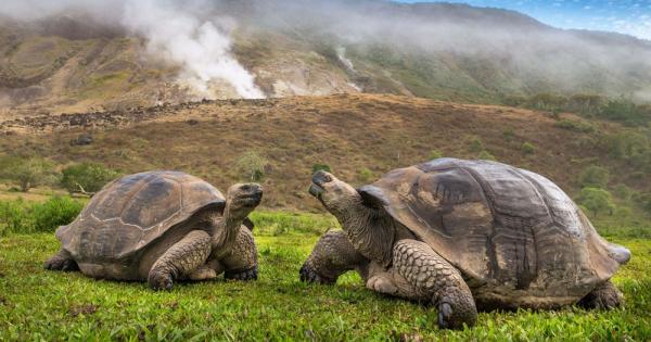 Учени пресъздадоха историческата експедиция на Чарлз Дарвин на Галапагоските острови