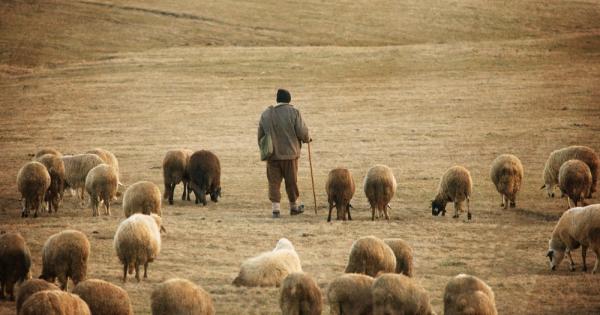 Един човек пасъл чужди овце работил на чужди ниви но
