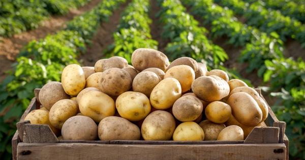Учени откриха начин за отстраняване на токсични съединения от картофите