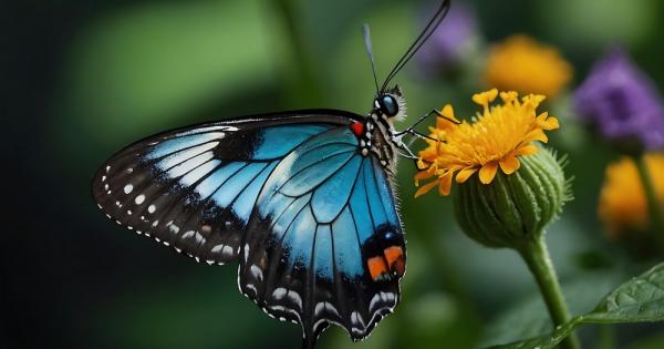 Пеперудите опрашват цветята благодарение на заряд от статично електричество който