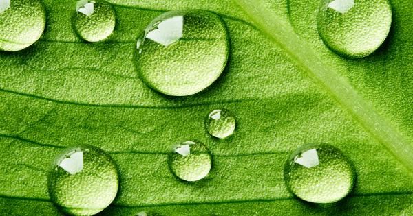 Учени се натъкнаха на изцяло нов тип химична връзка И