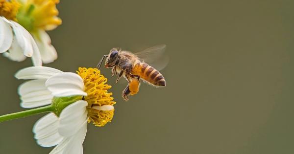 Изследователи от Университета на Лиеж Белгия са разработили иновативен метод