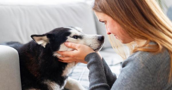 Ако някога сте се взирали в големите воднисти очи на