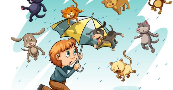 Обичате ли идиоми Те придават колорит на словото и са