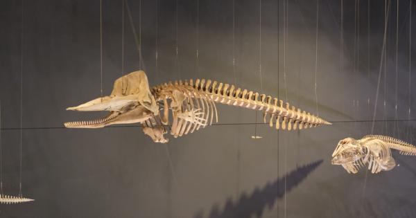 Преходът от водата към сушата е едно от най значимите събития