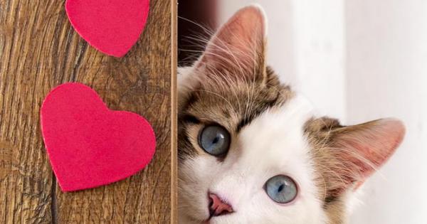 1 Допира устните си до вашите Не си мислете че това