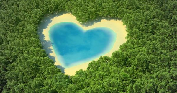 Начинът по който произвеждаме и потребяваме енергията си днес ни