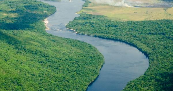 Най голямата река в света Амазонка някога е текла в противоположна