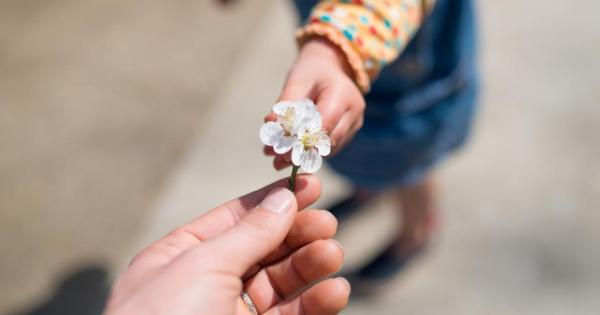 Свикнали сме да приемаме част от проявите или поведението на