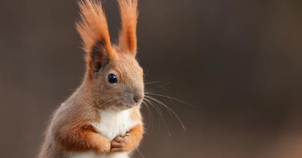 Животът не винаги е лесен но не бива да се