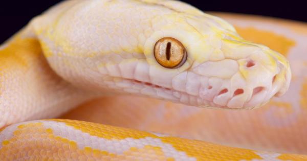 Среднощното посещение до тоалетната наистина е стресиращо Замъглено зрение дезориентирани