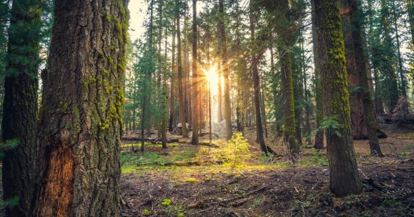 Горите са сред най важните и уязвими по отношение на климата