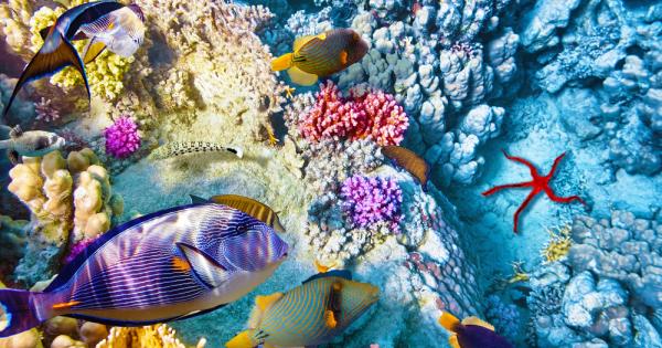 Природата е най невероятният творец с най голямо въображение Багрите и формите