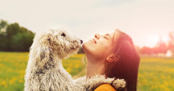 Кучетата могат да плачат от радост когато се срещнат със