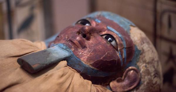 Египетското министерство на антиките показа на обществеността множество добре запазени